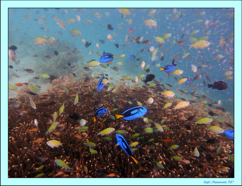 2009   07   Matakin 04